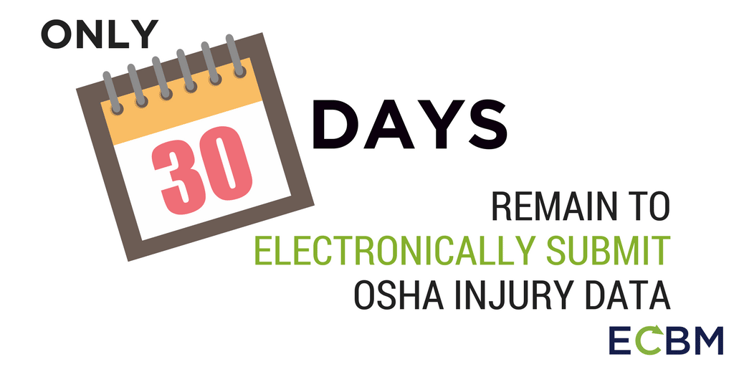 30 days remain electronically submit osha injury data.png