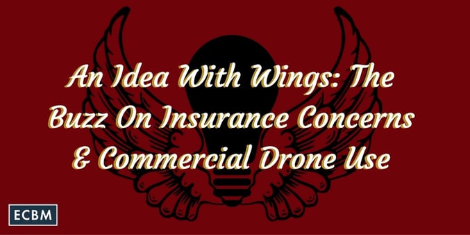 An_Idea_With_Wings-_The_Buzz_On_Insurance_Concerns__Commercial_Drone_Use_TWI_FEB15.jpg