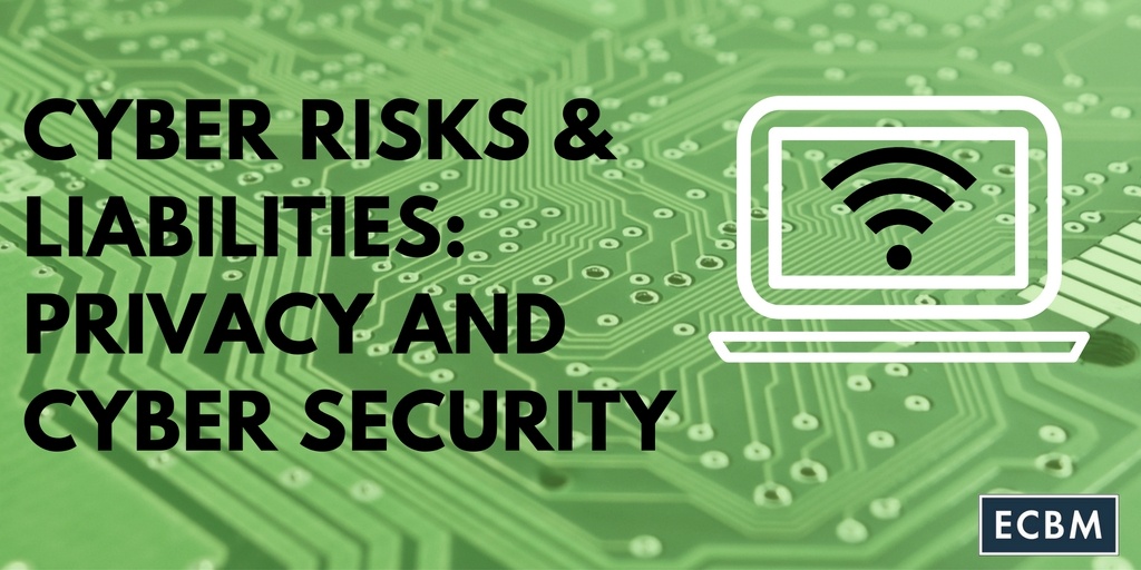 Security Liability Risk Cyber Risks & Liabilities: Privacy and Cyber Security