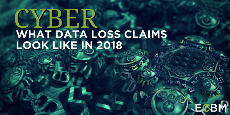 What Data Loss Claims Look Like in 20181