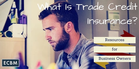 what is trade credit insurance resources for business owners